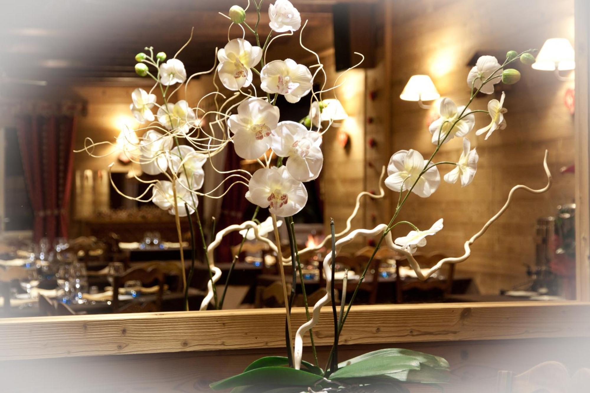 Hotel - Restaurant - Bar - Le Sapin Fleuri Bourg-dʼOueil 외부 사진