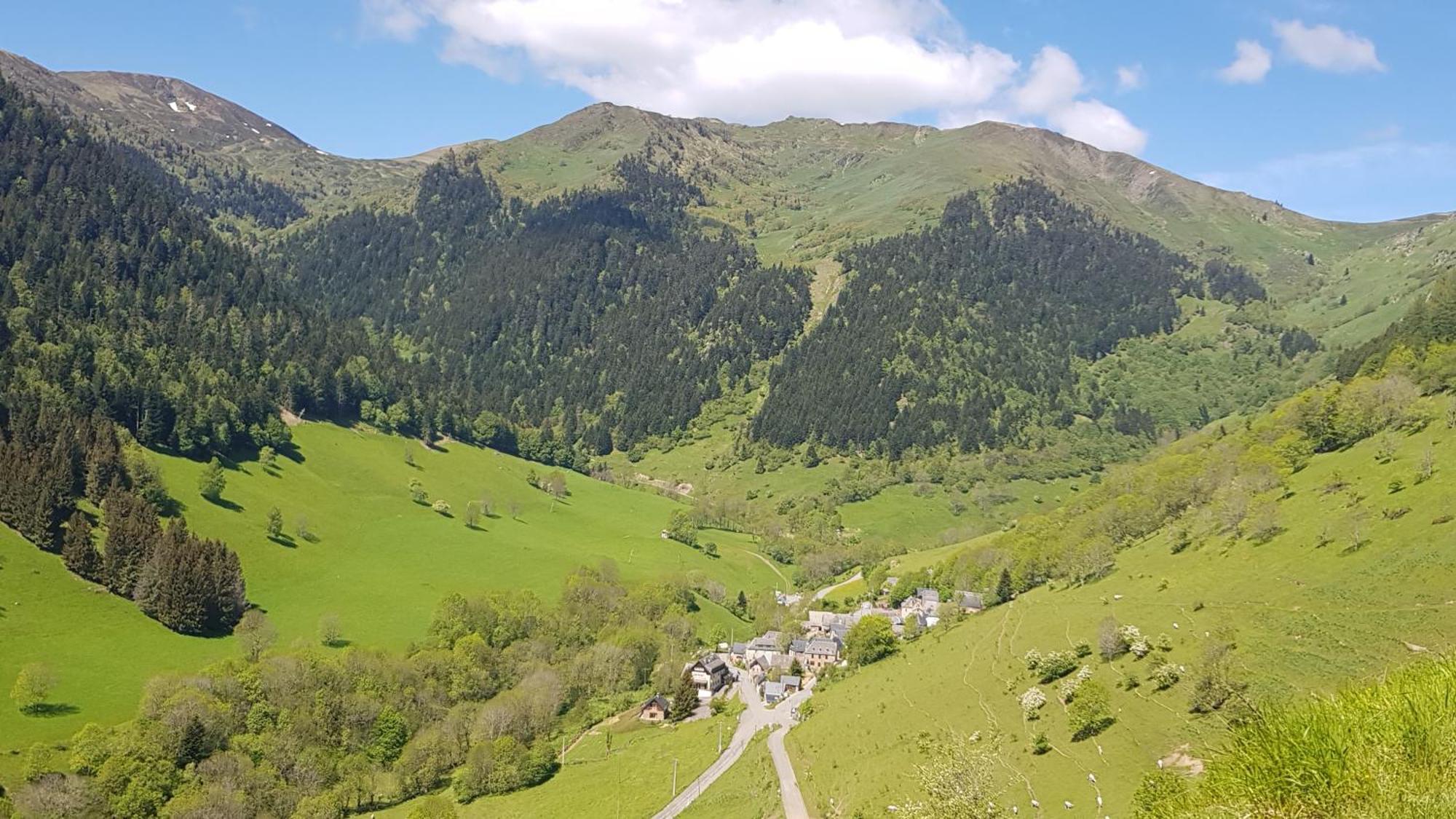 Hotel - Restaurant - Bar - Le Sapin Fleuri Bourg-dʼOueil 외부 사진