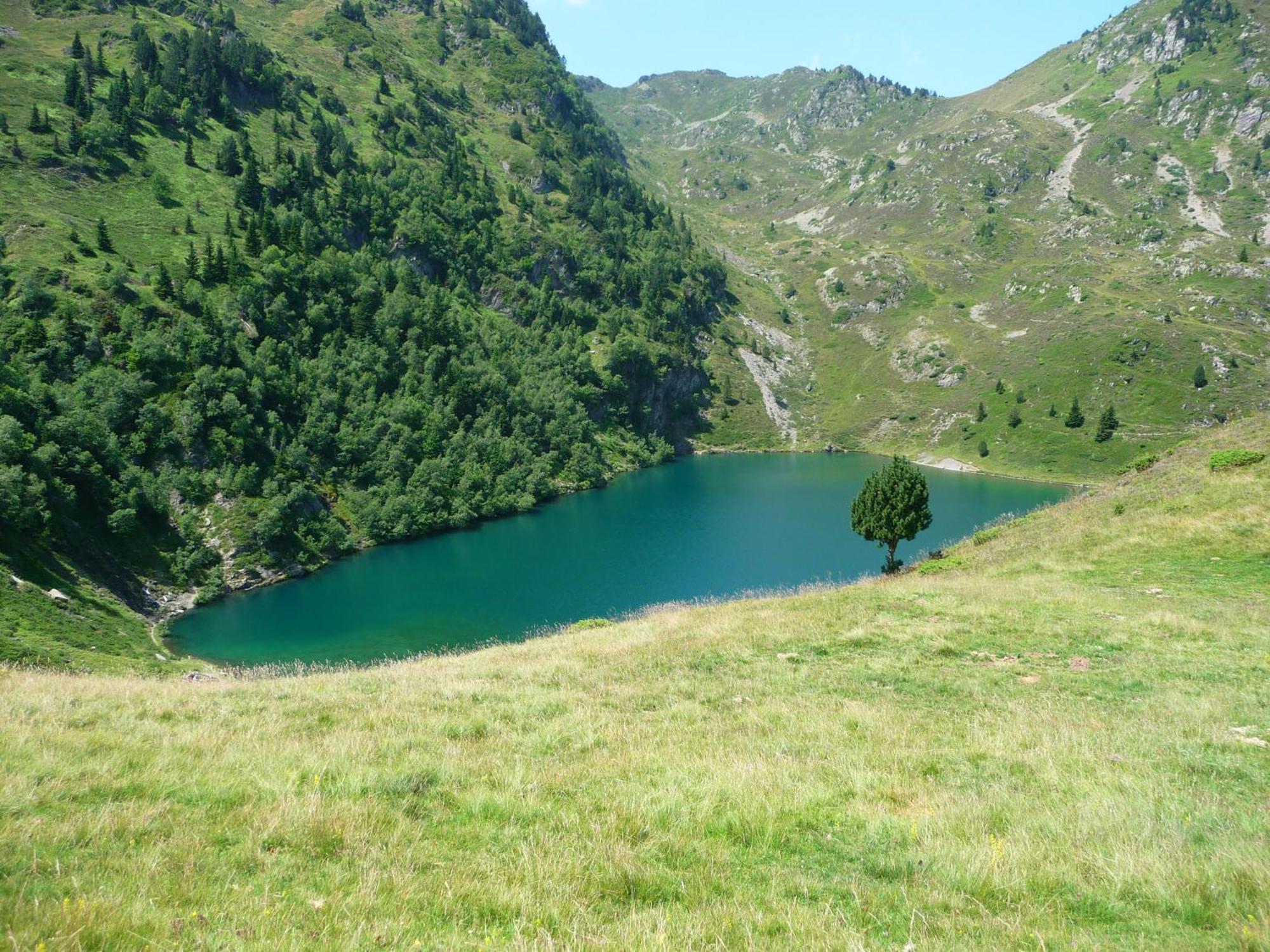 Hotel - Restaurant - Bar - Le Sapin Fleuri Bourg-dʼOueil 외부 사진